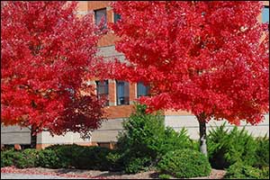 commercial landscaping cambridge